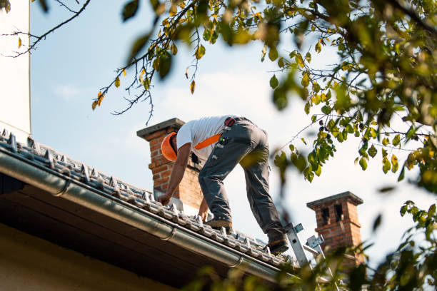 Best Gutter Installation and Roofing  in Oak Point, TX