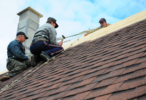 Best Metal Roofing Contractor  in Oak Point, TX